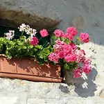House With A Swimming Pool - 6668 Makarska