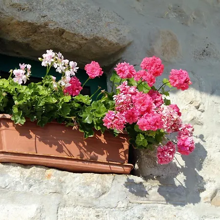 House With A Swimming Pool - 6668 Makarska