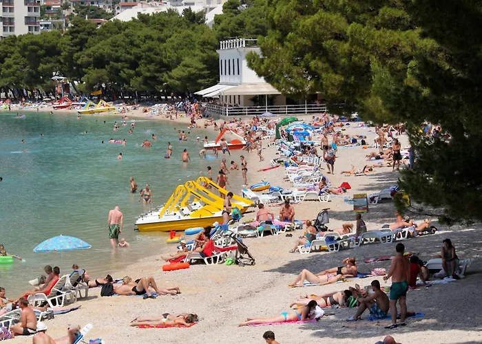 House With A Swimming Pool - 6668