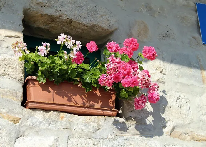 House With A Swimming Pool - 6668 Makarska